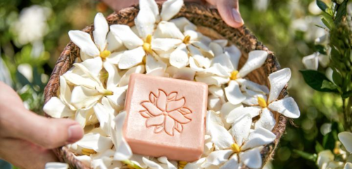 在生態(tài)友好的旅途中，愛上泰順 可持續(xù)旅游項(xiàng)目開發(fā)與管理的探索